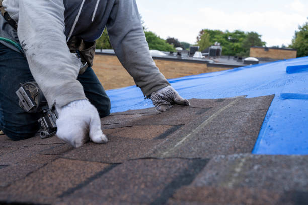Best Roof Maintenance Services  in Westville, NJ